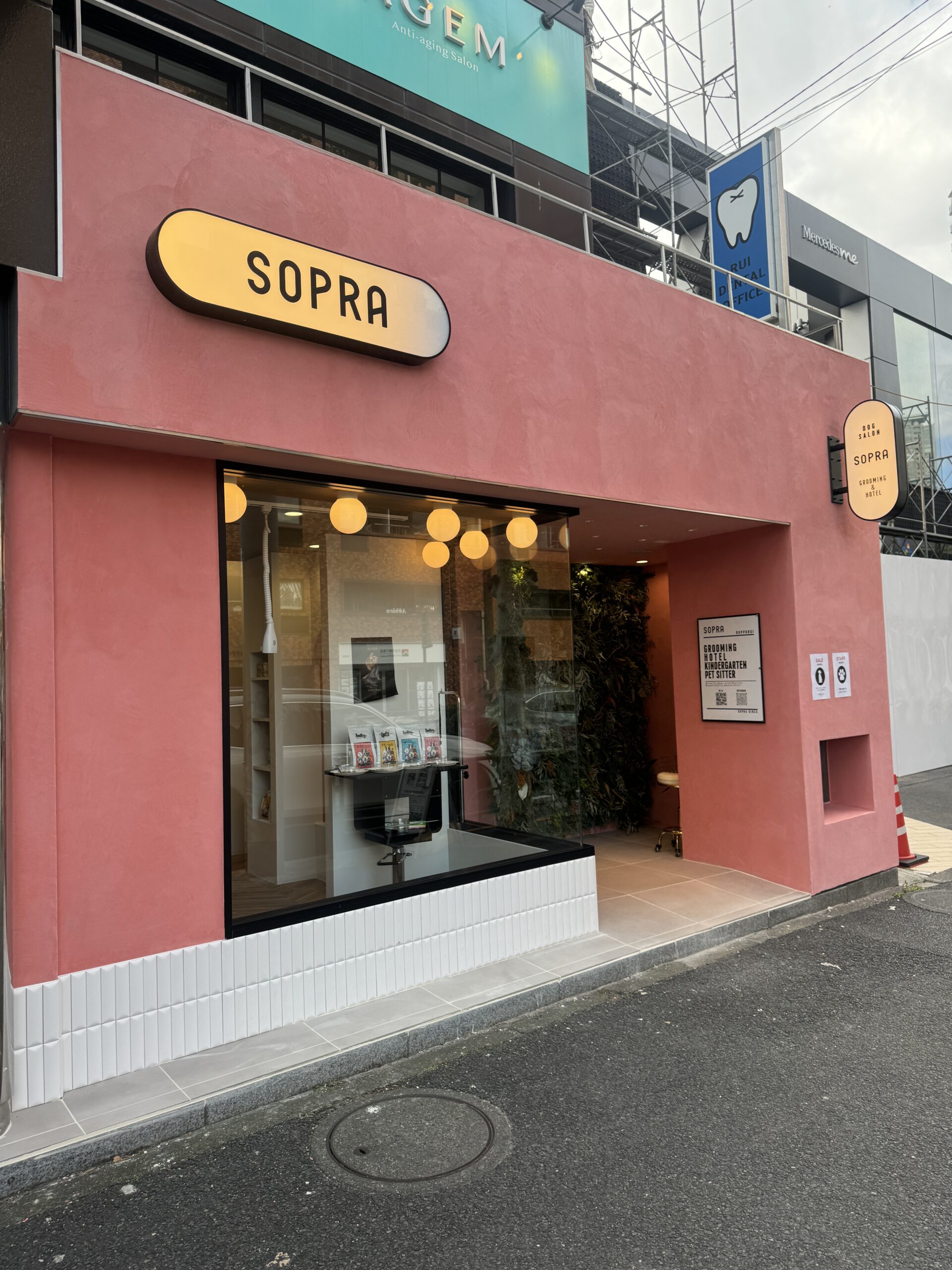 トリミングサロンSOPRA六本木店オープンしました！